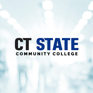 CT State N1120 Patch